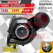 Update Turbo da 1446 a 1449 Alfa Romeo 1.6 Step1 125cv