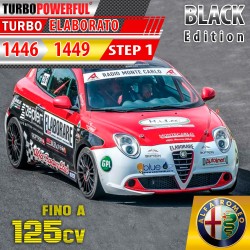 Update Turbo da 1446 a 1449 Alfa Romeo 1.6 Step1 125cv
