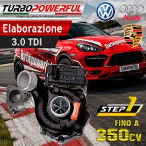 Turbo Maggiorato Audi Porsche Volkswagen 3.0 TDI step1 fino a 300cv