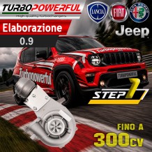 Turbo elaborato  Alfa Romeo Mito Lancia Delta 1.6 fino a 170cv