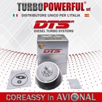 Coreassy in AVIONAL MFS 21001-S2410, 17201-11080, 1000-060-130T