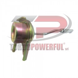 Valvola Wastegate...