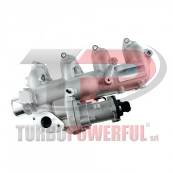 Valvola EGR 555306, 45421