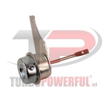 Attuatore WasteGate 433452