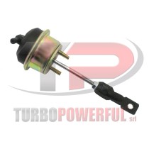 Valvola Wastegate 700830