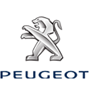 Turbine elaborate Peugeot