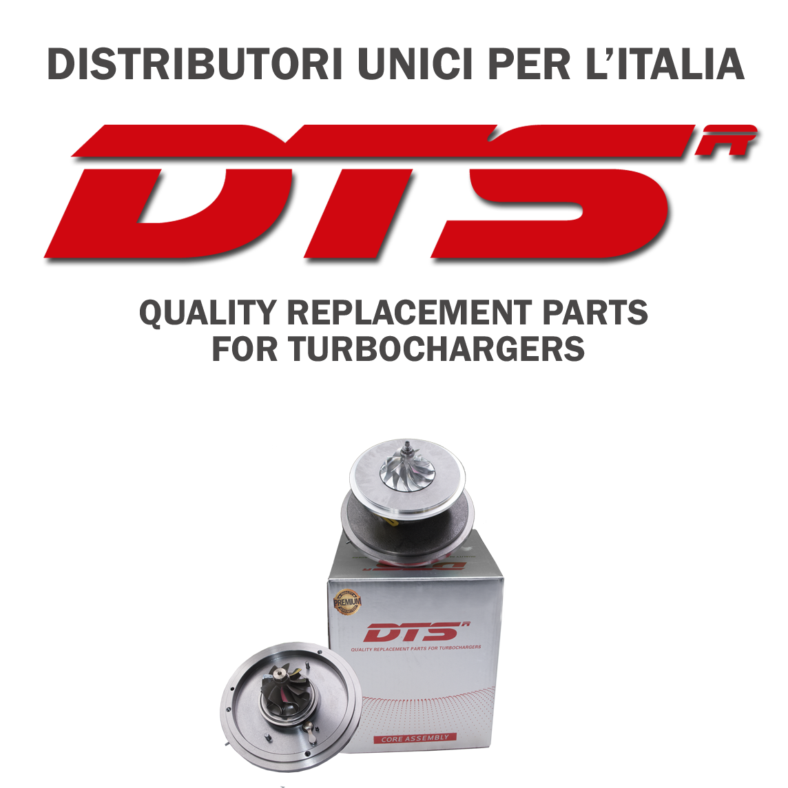 dts-distributore.png